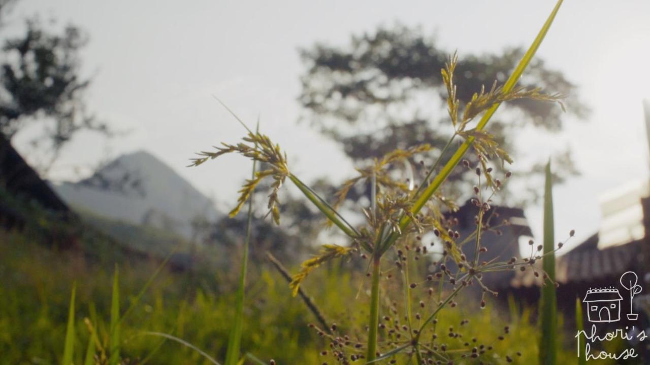 Phori'S House - Bamboo Forest ซาปา ภายนอก รูปภาพ