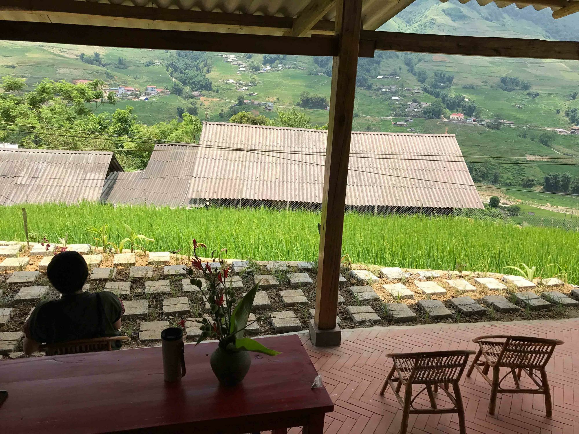 Phori'S House - Bamboo Forest ซาปา ภายนอก รูปภาพ